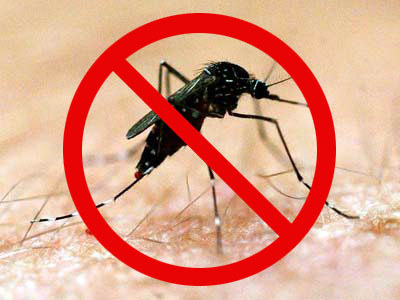 combate-a-dengue